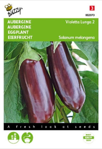 Aubergine Long Purple 2 (Solanum) 450 Samen BU